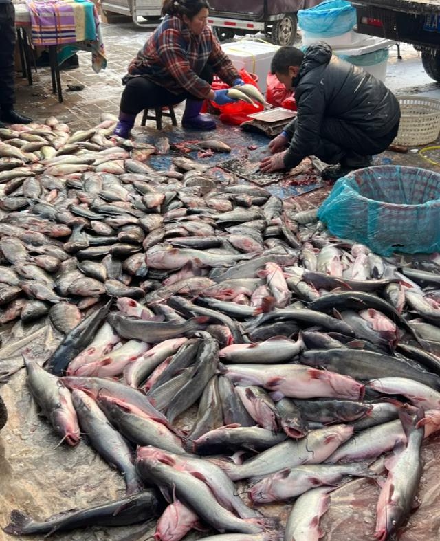 走，坐公交去逛石家庄这2个超火早市！