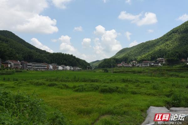 【高清湖南】玉池山居图：在青山绿水田园间，与美好相遇