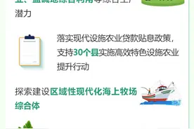 政能量丨2025年山东省委“一号文件”发布，建设更高水平“齐鲁粮仓”图片