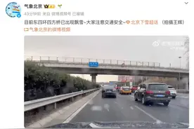 北京下雪了！春雪翩跹，绝美冻人图片