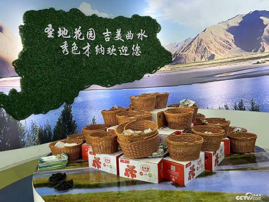 辉煌60年 我们的家园│行走在高原之上：触摸新时代幸福西藏的脉搏