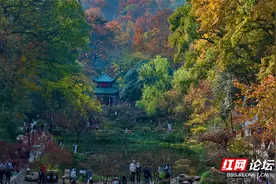 【每日一图@湖南】换个角度看岳麓山的层林尽染图片