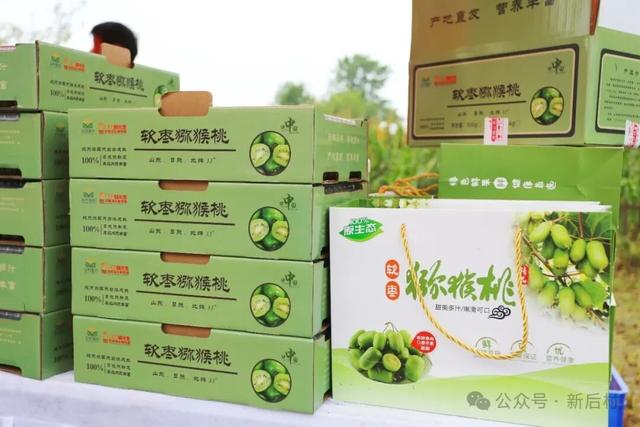 一口爆汁、香甜可口！就在后村，整个假期都可以来摘！
