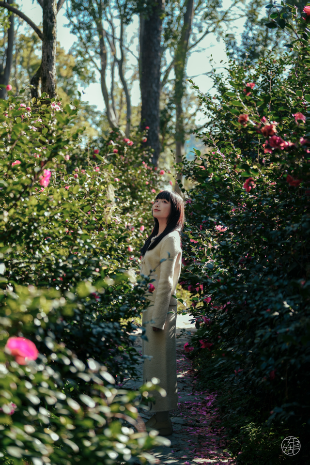 东湖这四处绝美秋景，出片率100%