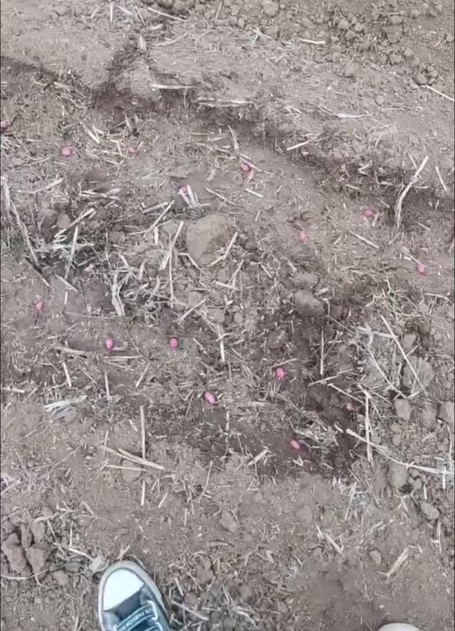 辅助生殖手术失败九次，她想要一个孩子