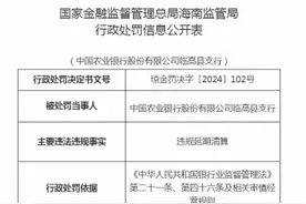 中国农业银行一支行被罚45万元：违规延期清算图片