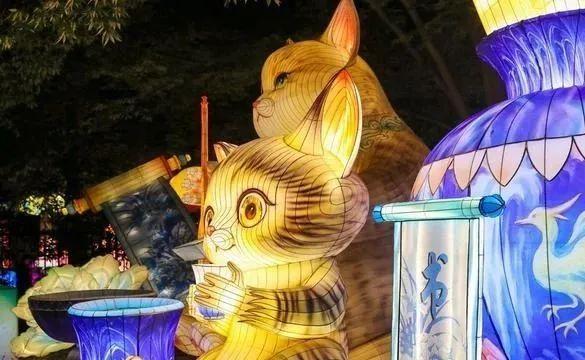 空降岛城!“萤火虫亲子游园会”8月22号来中山公园啦 10000只萤火虫免费发放