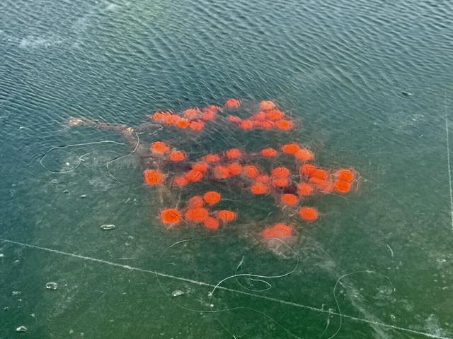 雪国净月 心归之处