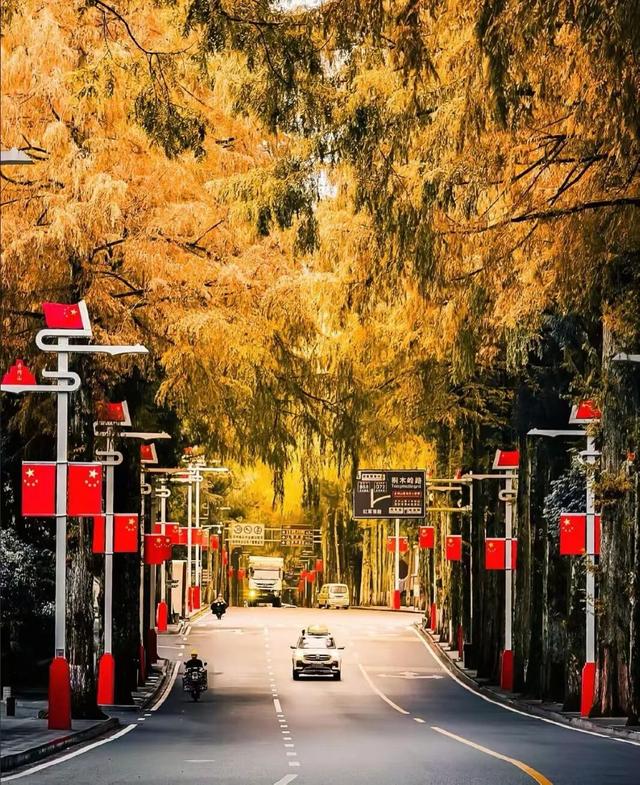 小雪 | 现在的井冈山也太太太美了~