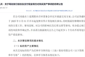 华大九天收购EDA同行，芯和半导体刚入辅导期就被“吃”了？图片