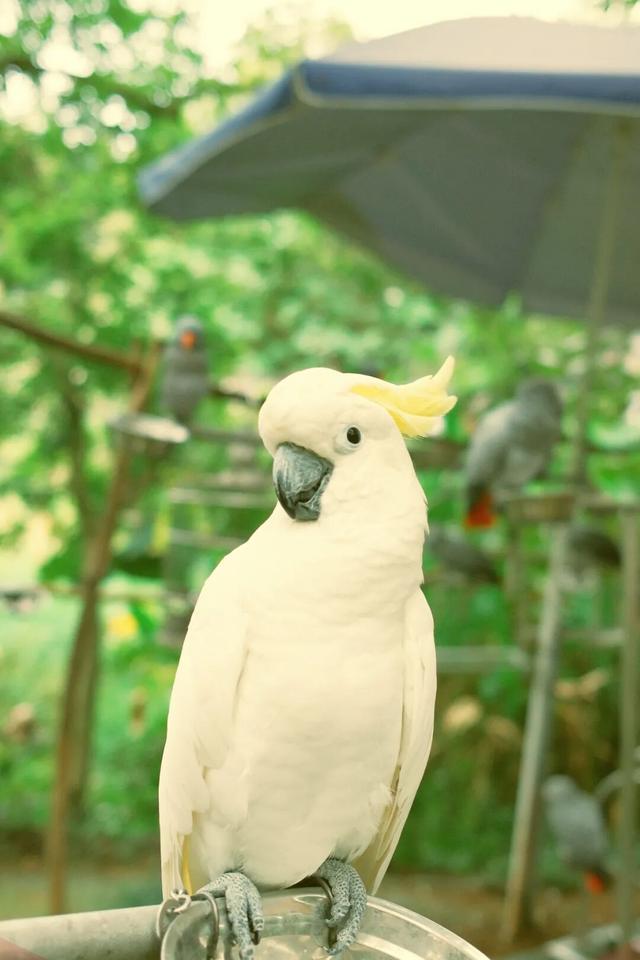 秋日的千岛湖，温柔到让人想赖着不走~