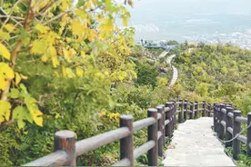 望京楼上望京城（足迹）图片