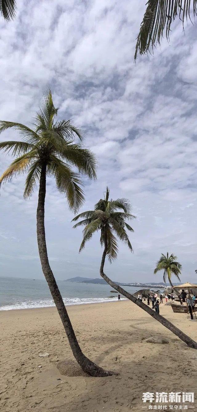 【奔流·浪花】三亚随笔：椰风海韵