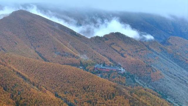 五台山的秋天，太治愈了！