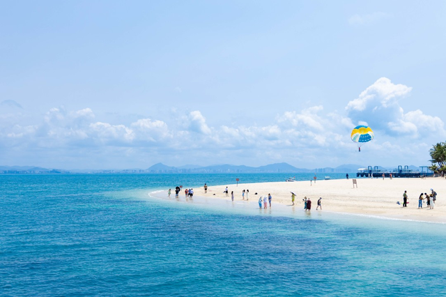 5000本！免费发放