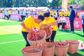 2024年中国农民丰收节全国农民体育健身大赛成功举办图片