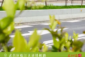 路边的花美爆了，可以摘回家吗？多地这样做图片