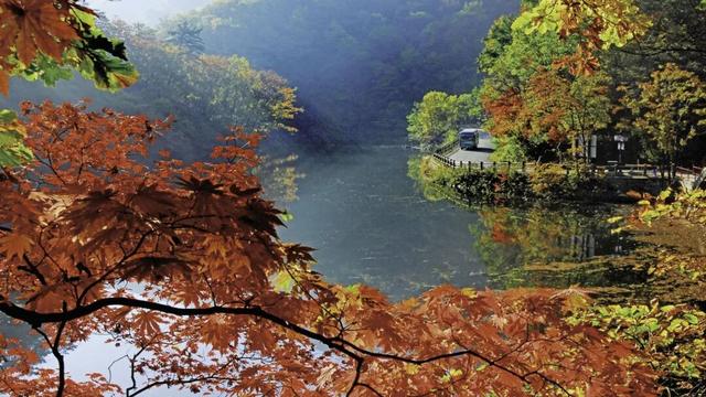 我想离开“浪浪山”，去辽宁看看！