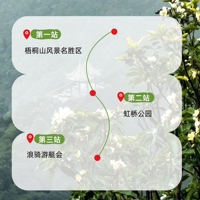 外国网友盛赞的深圳大片，藏着连本地人都不知道的打卡机位