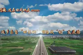 创业，选在田间地头 | 返乡乐当“田保姆” 95后找“稻”发展路图片