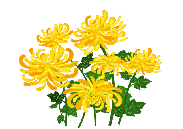 创新运营 全域沉浸｜万岁山武侠城何以从“新晋”到“顶流”？