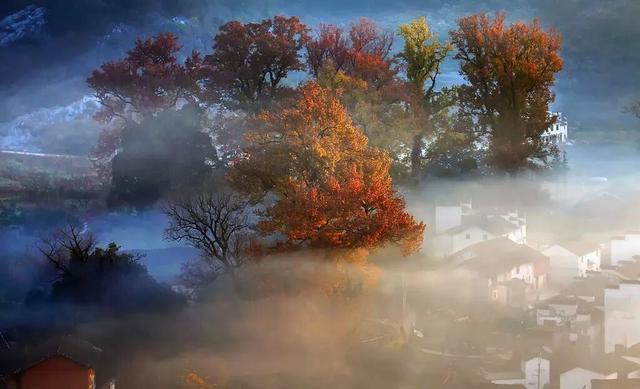 上饶荣登错峰赏秋热门目的地！跨年、寒假、春节连档，邀你共赴冬日诗意之旅