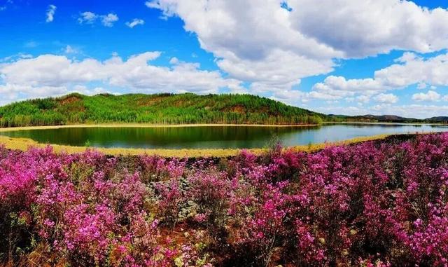 王炸！内蒙古“冰镇小龙虾”出道！