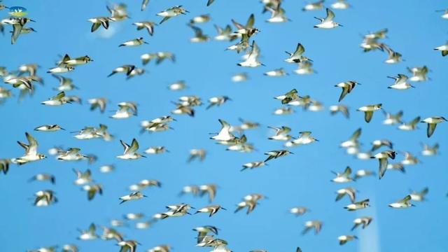 抓紧出发！错过就要等明年！