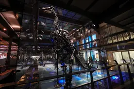研究：小行星撞地球产生的尘埃或是恐龙灭绝主因图片