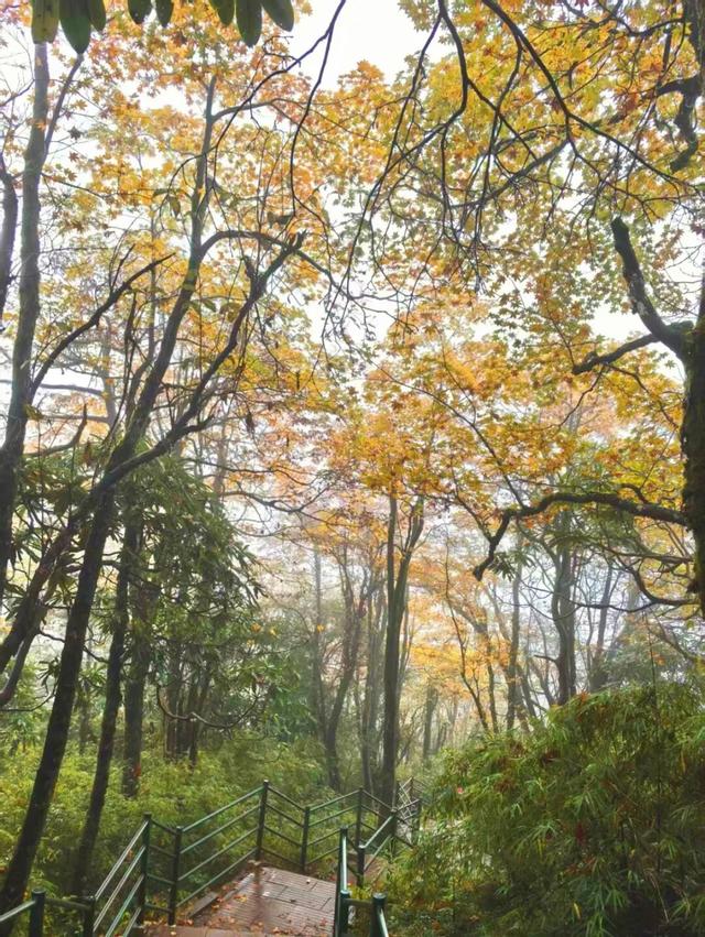 别等天晴了！雨天的秋日瓦屋，藏着你没见过的朦胧浪漫