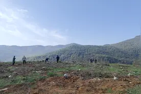 阳新孟铺村：一枚蛋的“致富密码”图片