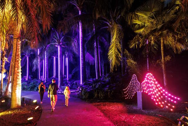 （外代二线）“夜间公园”灯光秀