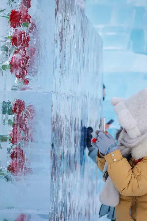 十一月 你好！十一月 期待！