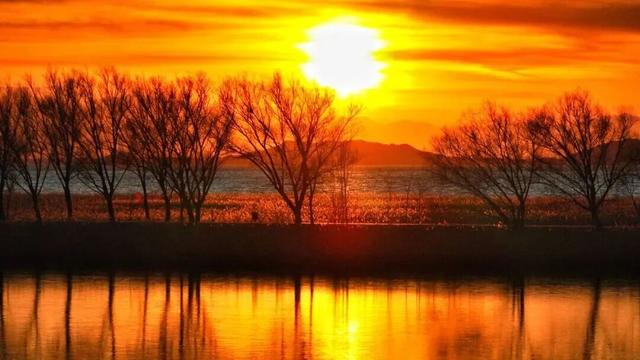 万鸟齐舞！北京这里成“候鸟天堂”，还有专属礼遇——