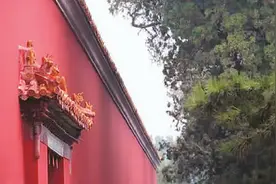 太庙古柏图片
