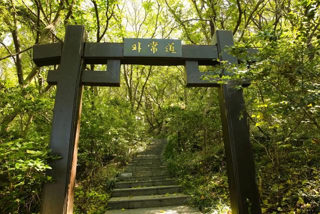 从茅山到博物馆，句容人“晨”会玩