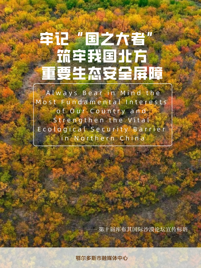 合肥＆鄂尔多斯梦幻联动！这场推介会亮点满满！