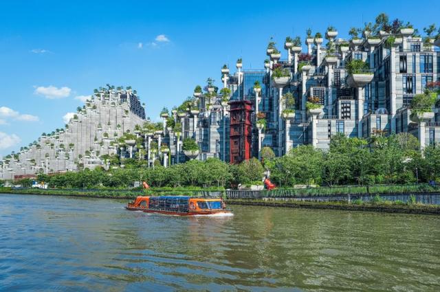 2026“新年第一游”去哪儿？从普陀出发，超全攻略锁定假期精彩！