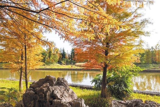 色彩斑斓 秋景如画