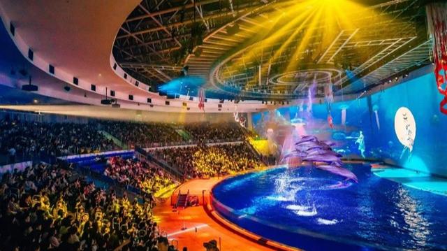 门票预订暴增313%！上海这个乐园国庆放大招：虎鲸红歌会、海底过中秋……