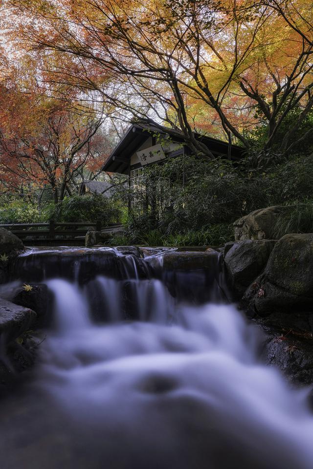 0元追！杭州徒步圈最强“顶流”上新，大片红枫爆红了