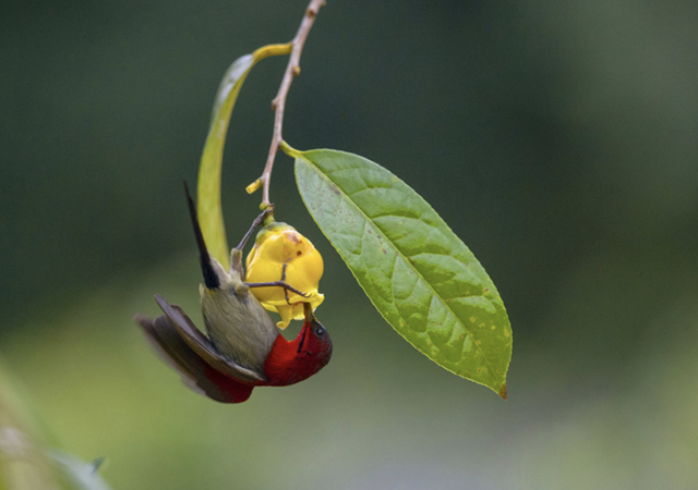 这么近，那么美，闲暇来趟防城港