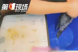 手被划了道小口子，却意外导致当晚住院……专家提醒：做这件事时，一定要记得戴手套！图片