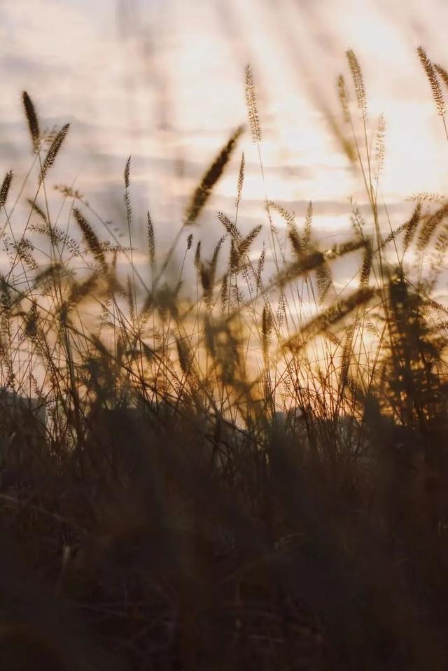 西安上新！高颜值秋景，正在加载！