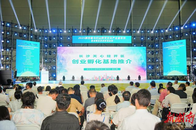 “数”力觉醒！2025马栏山数字文化产业嘉年华“开趴”啦