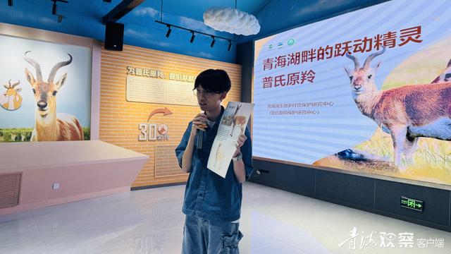 我看到普氏原羚啦！