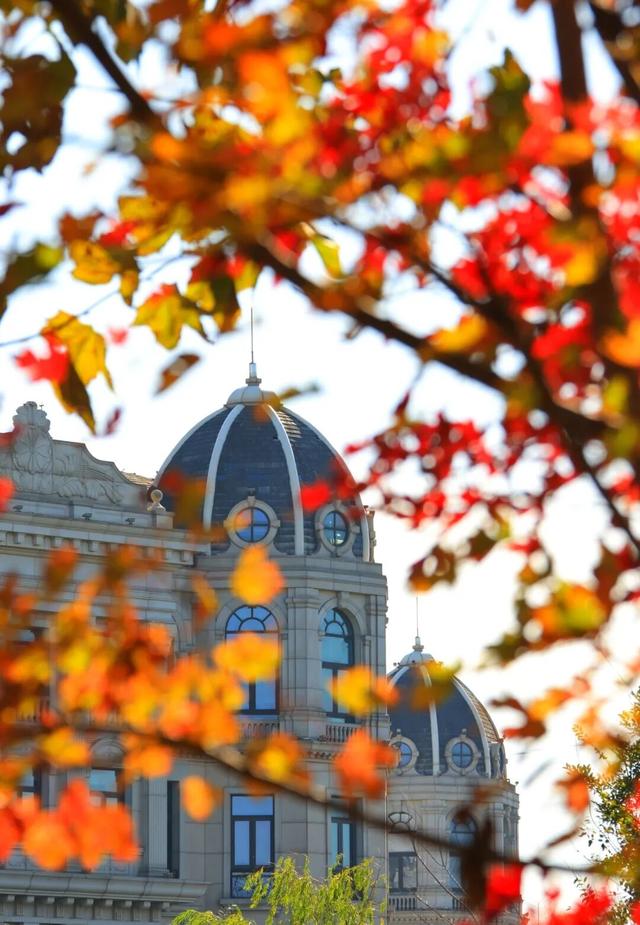 红叶+落日！普陀这几处宝藏打卡地美翻啦！