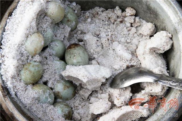 千年古盐田——探秘别有“滋味”的海盐晒制技艺