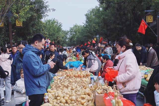 26亿元综合效益，占据全国75%市场份额 聊城葫芦：从地方特色到全国名片