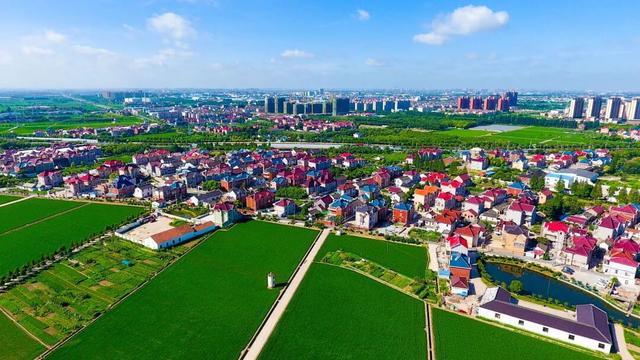 2025年宝山区丰收节暨“幸福宝山路 魅力乡村行”宝山职工徒步赛即将开赛！